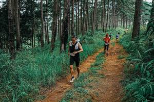 BIB: 
                            <button type="button" onclick="openModal(25657079)" class="btn btn-primary btn-sm float-right btn-popup" data-toggle="modal" data-target=".modal-high-quality">
                        <i class="fas fa-shopping-cart"></i> Add to Cart
                    </button>
                                            <button type="button" onclick="isThisMe(25657079, true)" class="btn btn-success btn-sm float-right btn-popup btn-isme hidden" data-toggle="tooltip" data-placement="bottom" title="นี่คือรูปของคุณใช่ไหม คลิกที่นี่เพื่อเอาเข้าอัลบั้ม">
                        <i class="fas fa-plus"></i> Add to album
                    </button>
                    <button type="button" onclick="isThisMe(25657079, false)" class="btn btn-warning btn-sm float-right btn-popup btn-isnotme hidden">
                        <i class="fas fa-ban"></i> Remove from album
                    </button>